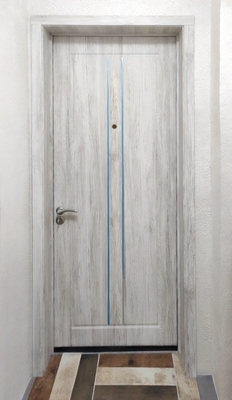 Дверь с МДФ и хромированными молдингами Дверь с МДФ и хромированными молдингами
