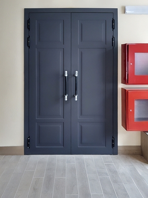 Двупольная дверь МДФ Двупольная дверь МДФ